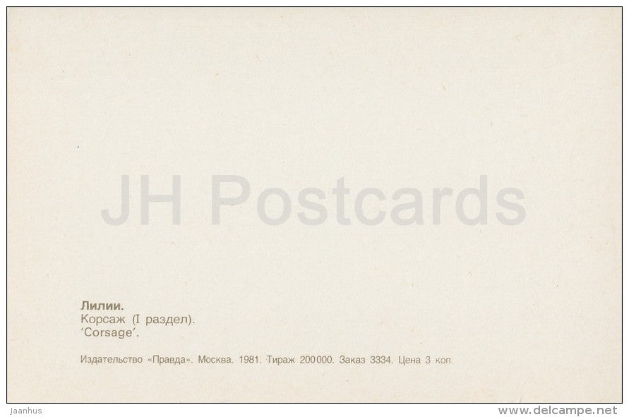 Corsage - flowers - Lily - Russia USSR - 1981 - unused - JH Postcards