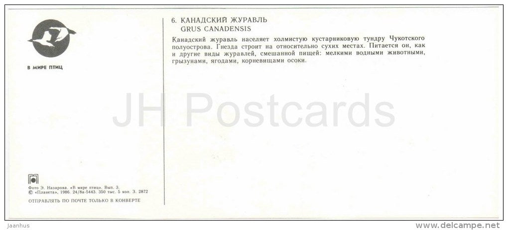 Sandhill Crane , Grus canadensis - birds - 1986 - Russia USSR - unused - JH Postcards