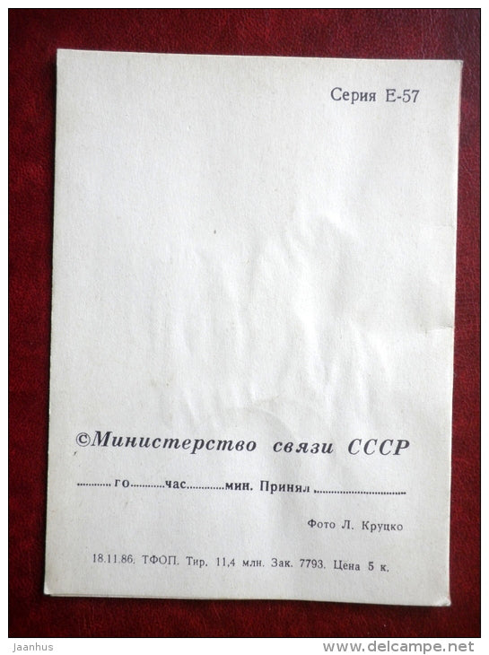 telegram - flowers composition - tulips - narcissus - flowers - 1986 - Russia USSR - used - JH Postcards