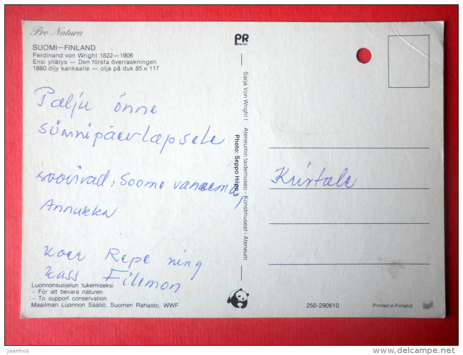 painting by Ferdinand von Wright - goose - galf - WWF - finnish art - circulated in Finland - JH Postcards