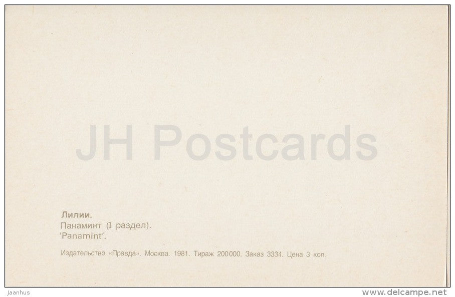 Panamint - flowers - Lily - Russia USSR - 1981 - unused - JH Postcards