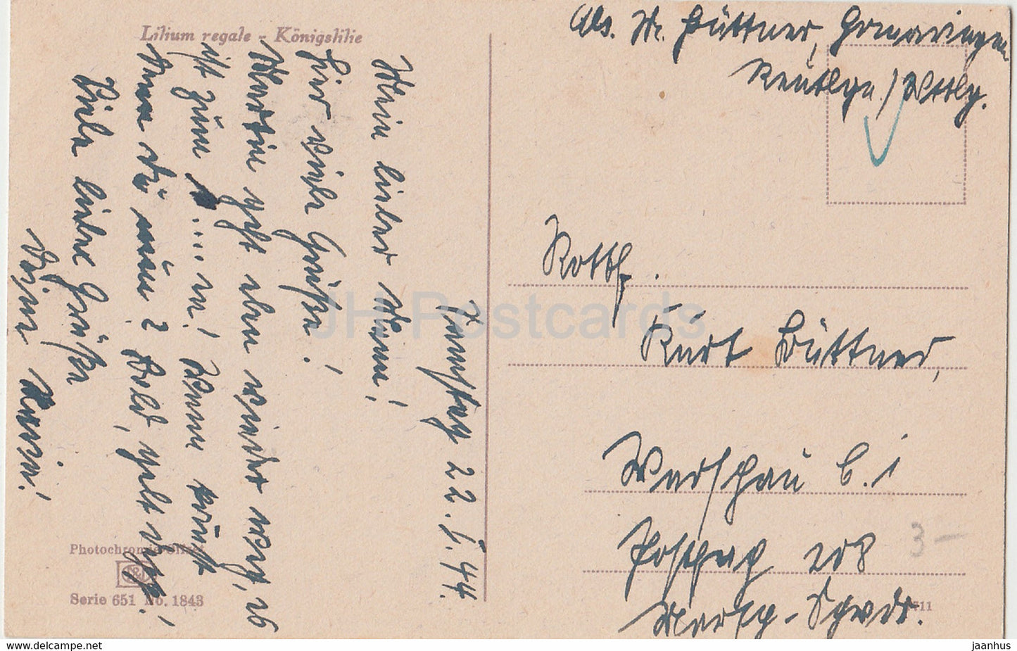 Lilium Regale - Königslilie - Lilie - Blumen - Photochromie - Serie 651 Nr. 1843 - alte Postkarte - 1944 - gebraucht