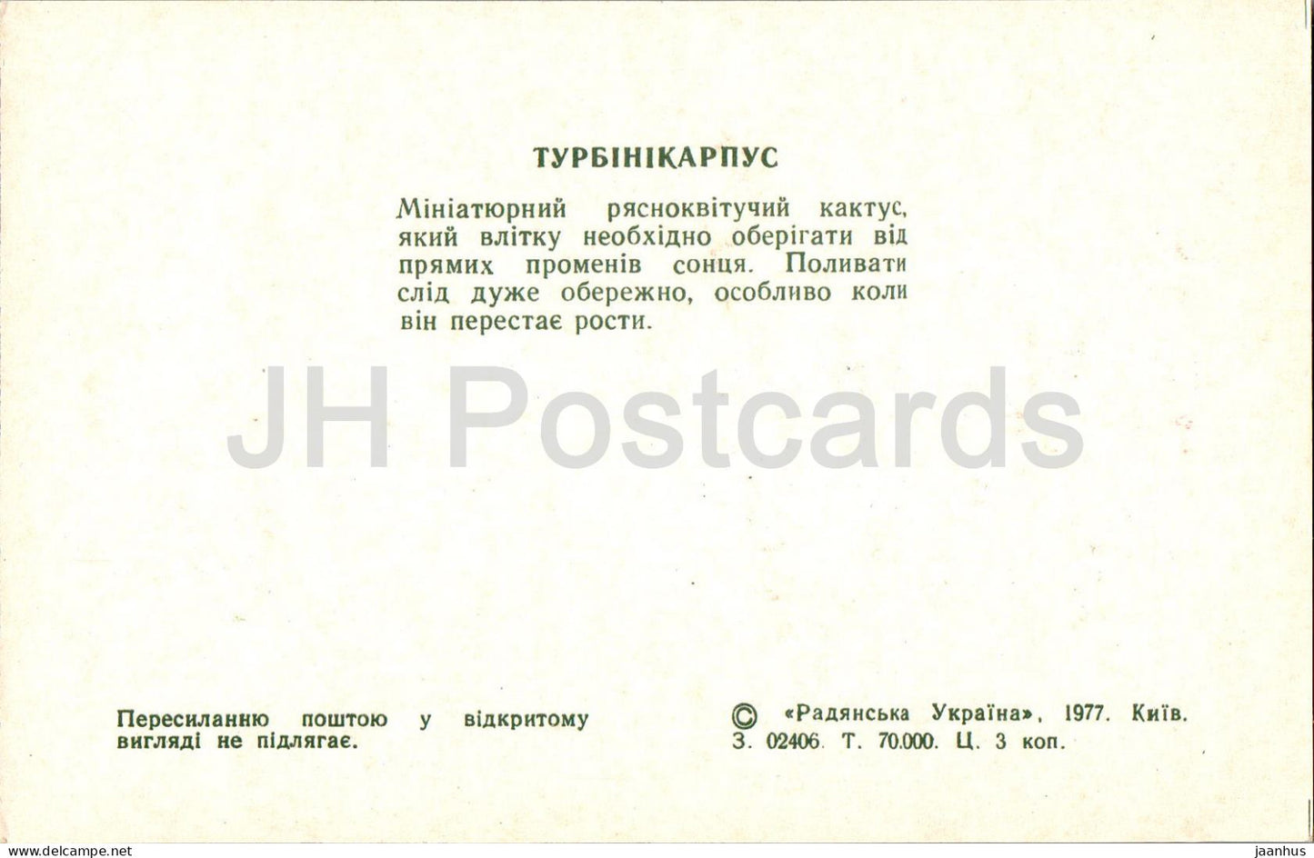 Turbinicarpus - cacti - cactus - flowers - 1977 - Ukraine USSR - unused