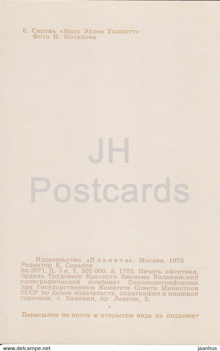Miss Ellen Willmott - Lilac - Flowers - 1973 - Russia USSR - unused