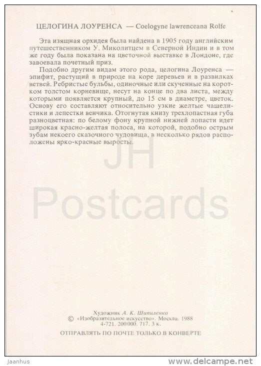 Lawrence´s Coelogyne - Coelogyne lawrenceana Rolfe - orchid - wild flowers - 1988 - Russia USSR - unused - JH Postcards