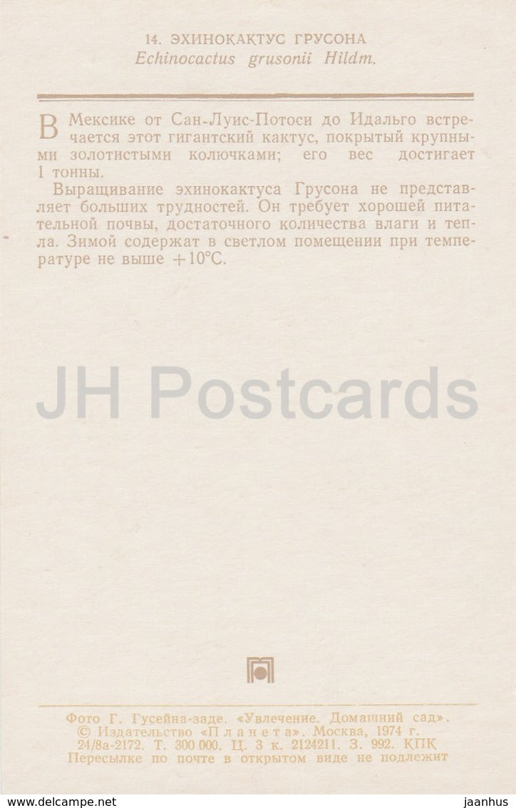 Cactus baril d’or - Echinocactus grusonii - cactus - fleurs - 1974 - Russie URSS - inutilisé