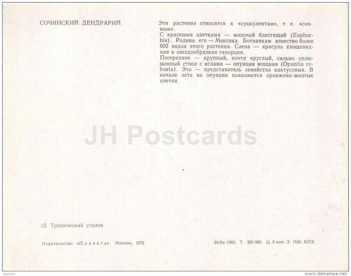 Succulent Plants - Sochi Dendrarium - 1972 - Russia USSR - unused - JH Postcards