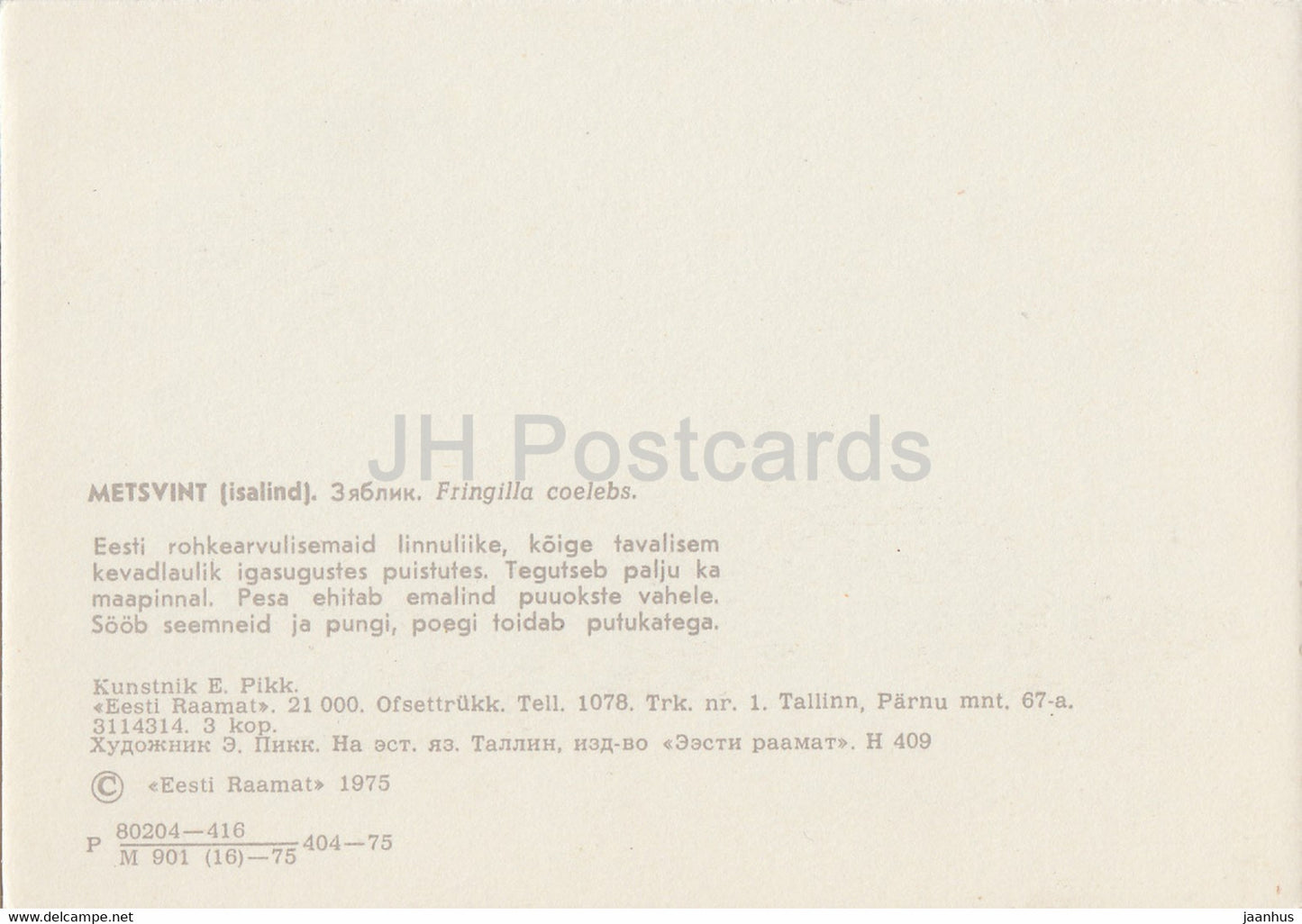 Common chaffinch - Fringilla coelebs - illustration by E. Pikk - 1975 - Estonia USSR - unused