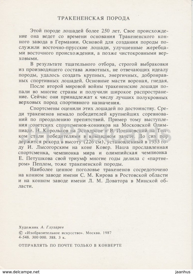 Trakehner horse - illustration by A. Glukharev - horses - animals - 1988 - Russia USSR - unused - JH Postcards