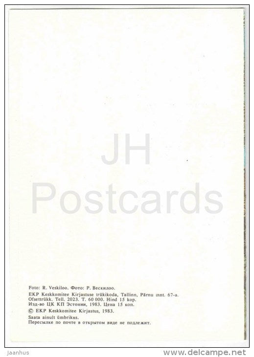 New Year Greeting Card - decorations - red candle - fir tree - 1983 - Estonia USSR - unused - JH Postcards