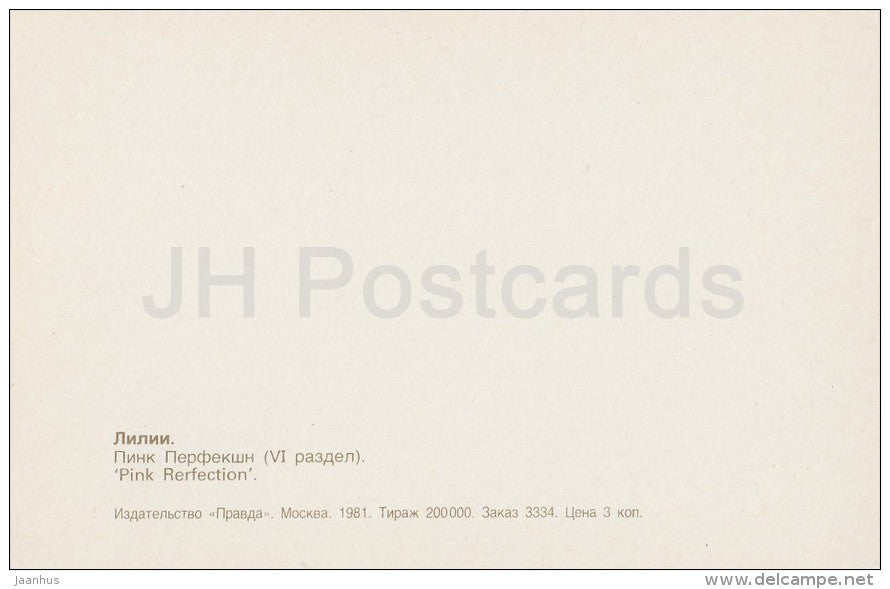 Pink Refrection - flowers - Lily - Russia USSR - 1981 - unused - JH Postcards