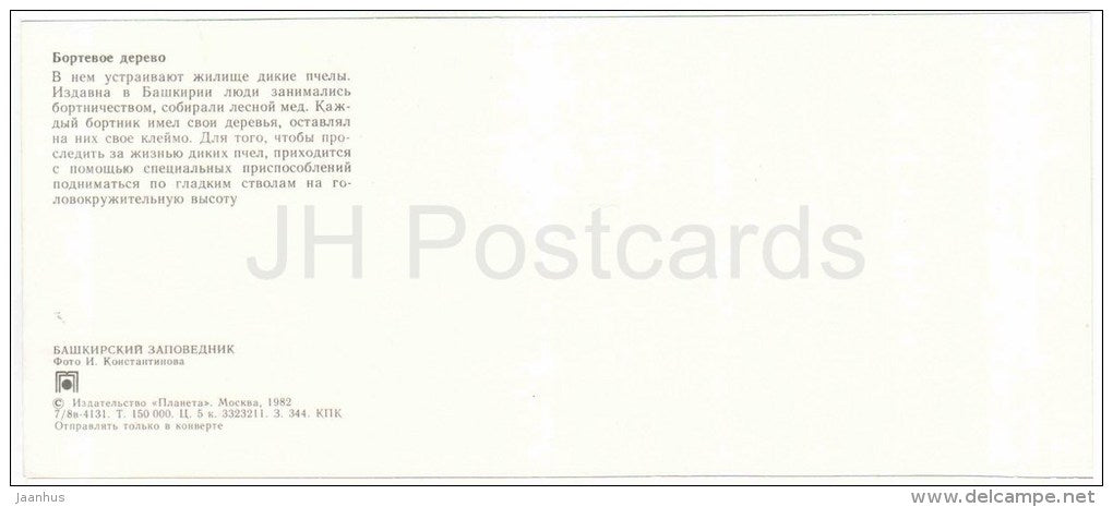 hollow tree - beekeeping - climbing tool - Bashkirsky Nature Reserve - Bashkortostan - 1982 - Russia USSR - unused - JH Postcards