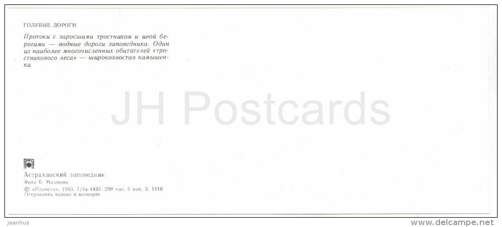 Cetti's warbler - Cettia cetti - birds - Astrakhan Nature Reserv - 1983 - Russia USSR - unused - JH Postcards