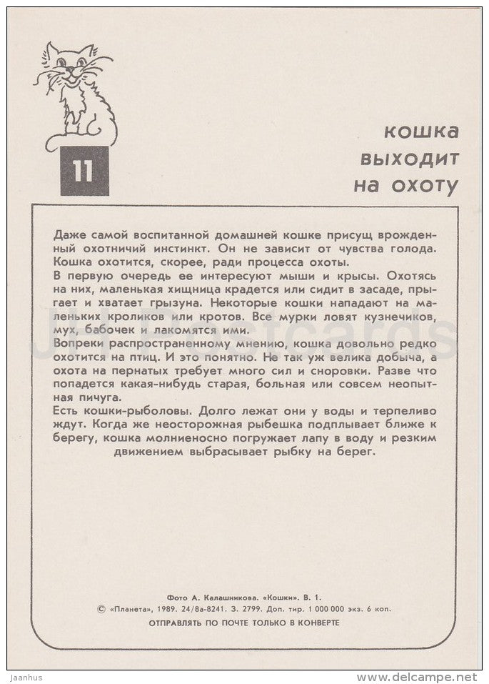 Cat on the tree - cats - Russia USSR - 1989 - unused - JH Postcards