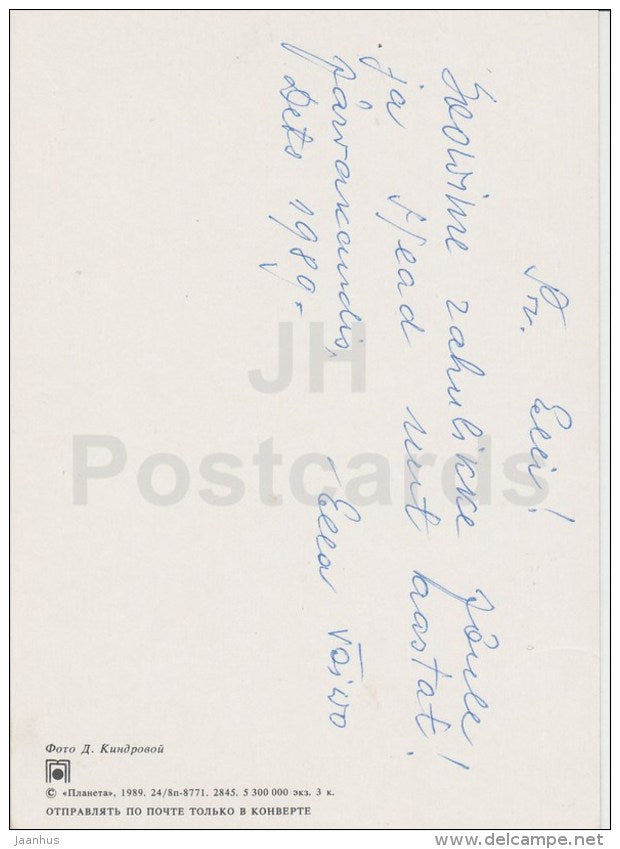 New Year Greeting Card - decorations - walnut - orange - 1989 - Russia USSR - used - JH Postcards