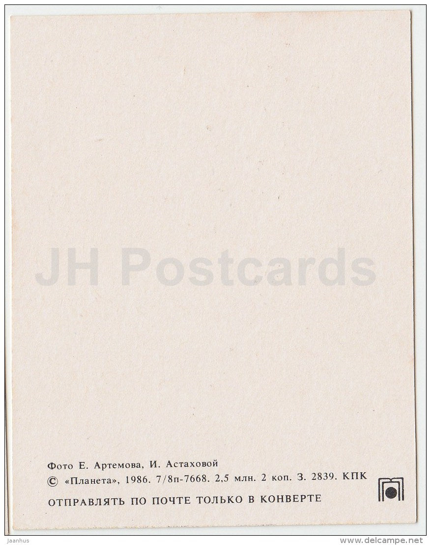 mini Birthday greeting card - flowers composition - red roses - 1986 - Russia USSR - unused - JH Postcards