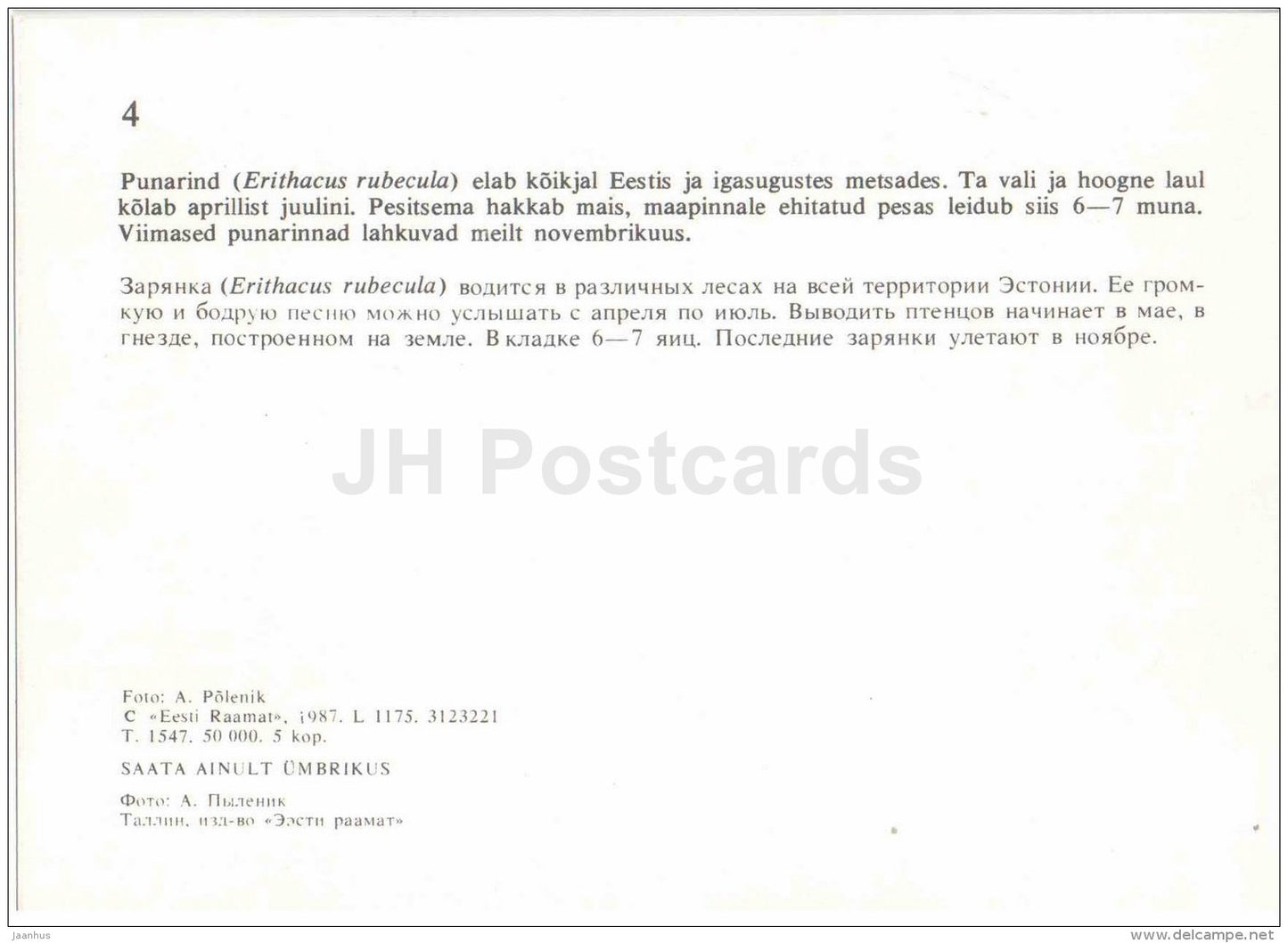European robin - Erithacus rubecula - bird - Estonian Birds - 1987 - Estonia USSR - unused - JH Postcards