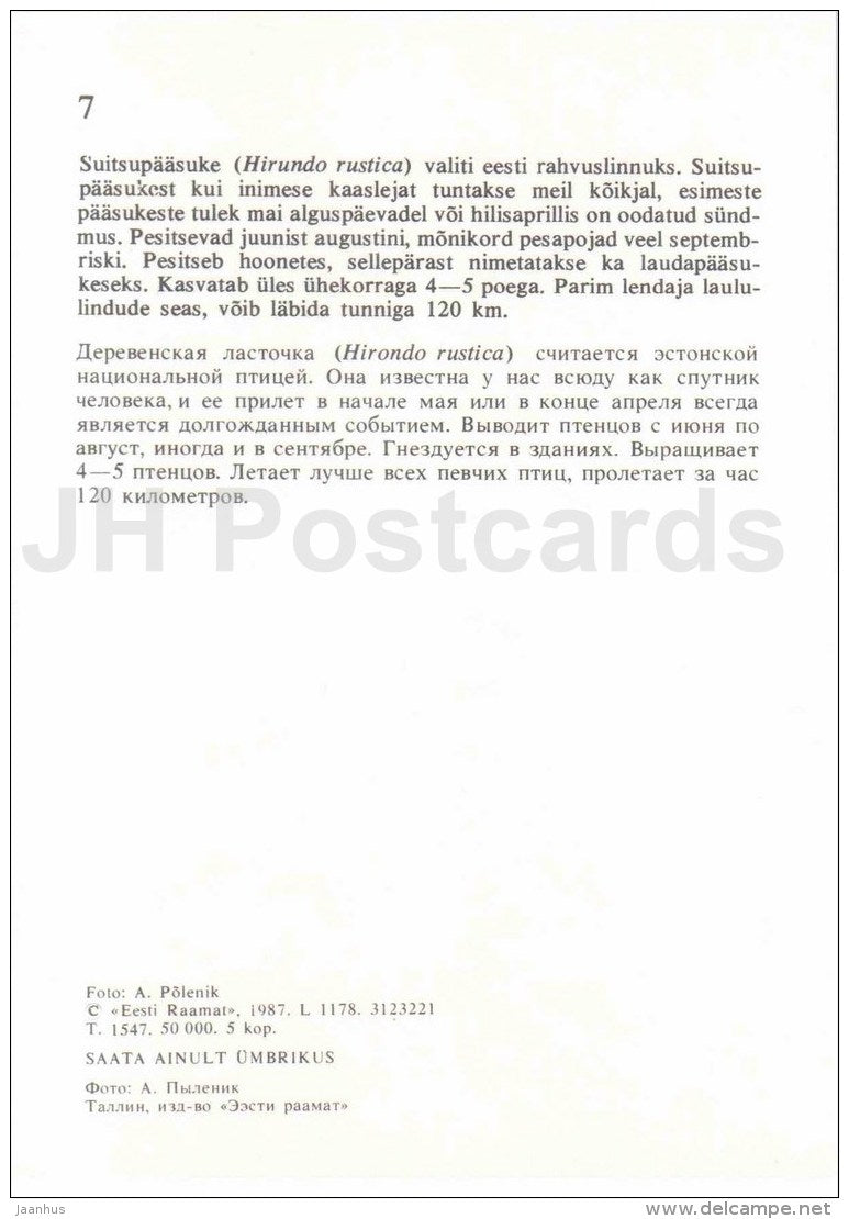 Barn swallow - Hirundo Rustica - bird - Estonian Birds - 1987 - Estonia USSR - unused - JH Postcards