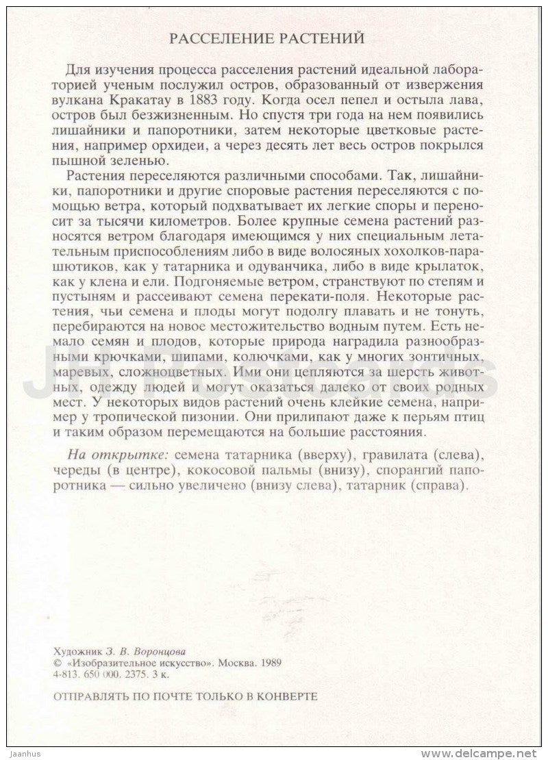 bird - Cotton thistle - Seeds Travelers - Amazing Plants - 1989 - Russia USSR - unused - JH Postcards