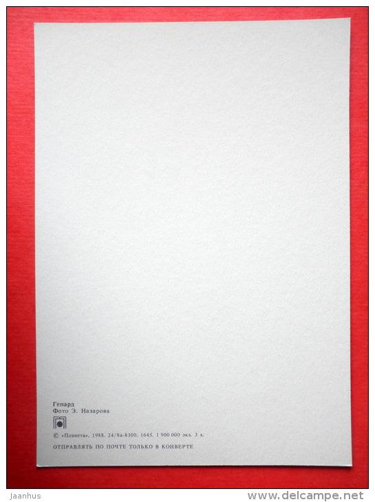 Cheetah , Acinonyx jubatus - 1 - animals - 1988 - Russia USSR - unused - JH Postcards