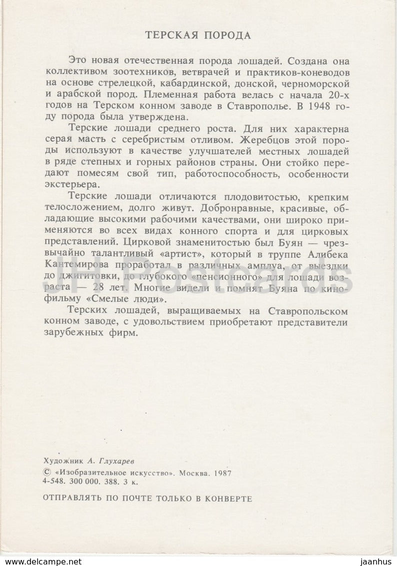 Tersk horse - illustration by A. Glukharev - horses - animals - 1988 - Russia USSR - unused - JH Postcards