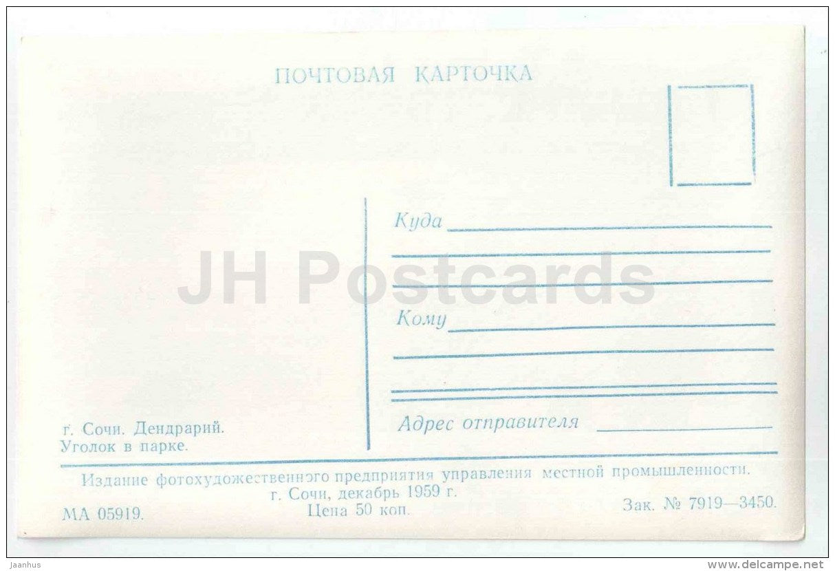dendrarium - corner in the park - palm tree - Sochi - photo card - 1959 - Russia USSR - unused - JH Postcards