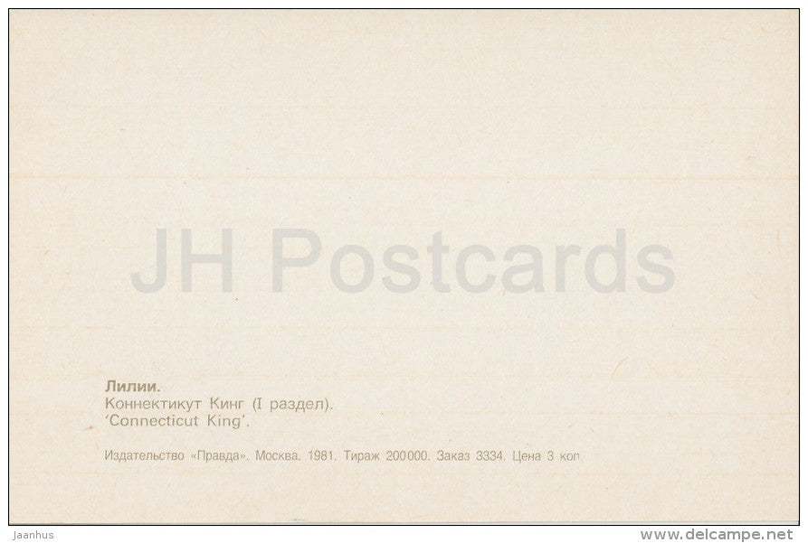 Connecticut King - flowers - Lily - Russia USSR - 1981 - unused - JH Postcards