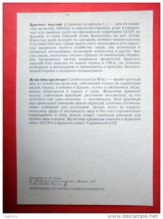 Carabus tauricus - Forest Caterpillar , Calosoma sycophanta - insects - 1987 - Russia USSR - unused - JH Postcards