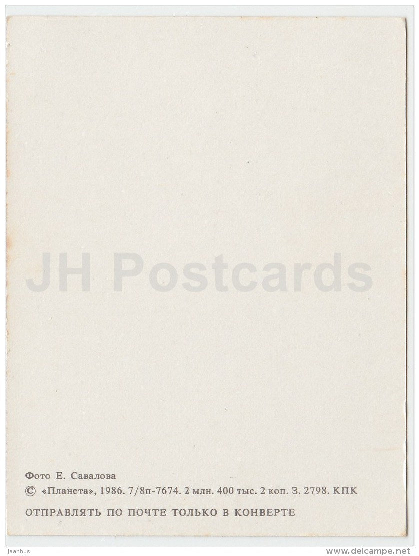 mini Birthday greeting card - flowers composition - red rose in the vase - 1986 - Russia USSR - unused - JH Postcards