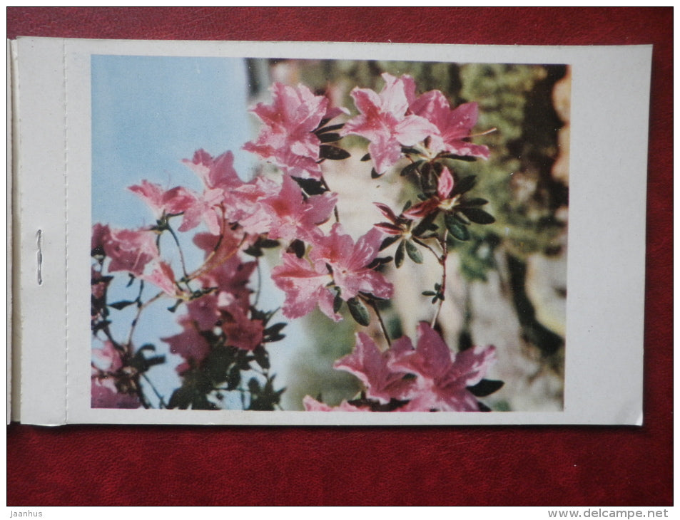 Flowers - set of 12 postcards - printed in People´s Republic of China - 1962 - China - unused - JH Postcards