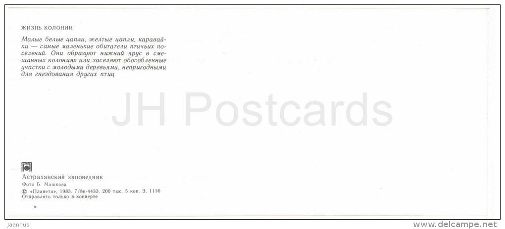 Little Egret - Glossy ibis - Squacco heron - birds - Astrakhan Nature Reserv - 1983 - Russia USSR - unused - JH Postcards