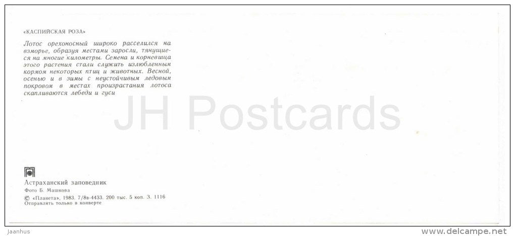 water lily - lotos - Astrakhan Nature Reserv - 1983 - Russia USSR - unused - JH Postcards