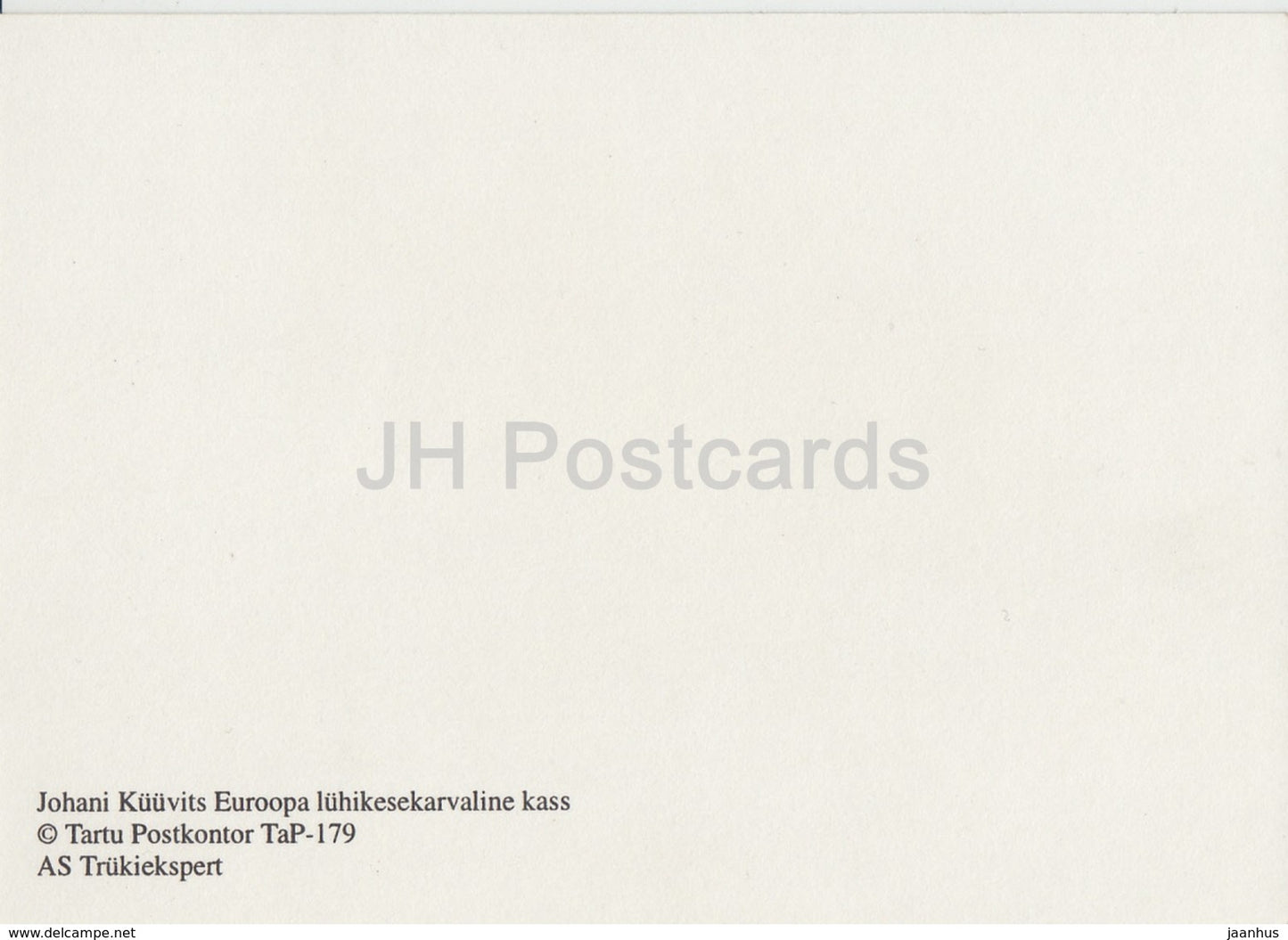 Chat européen à poil court - Estonie - inutilisé