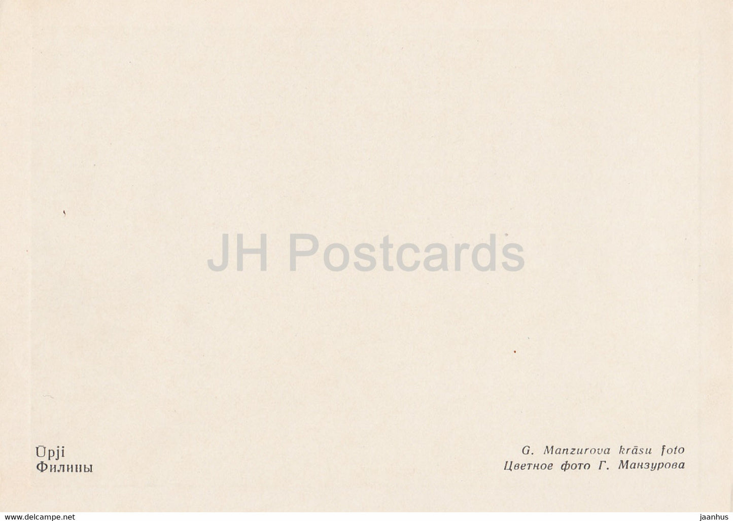 Riga Zoo - Eurasian eagle-owl - Bubo bubo - birds - Latvia USSR - unused