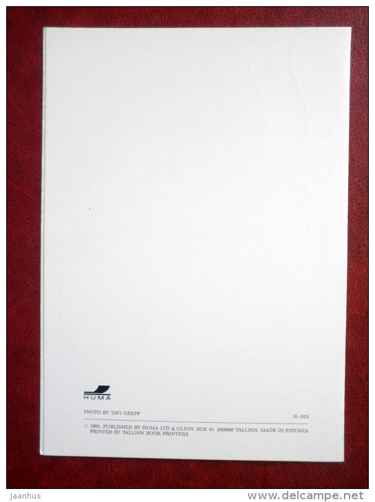 New Year greeting card - winter forest - 1991 - Estonia USSR - used - JH Postcards