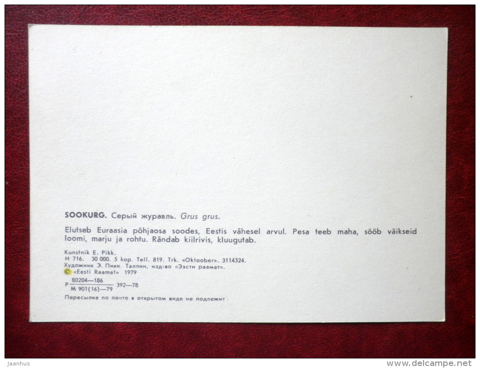 Common Crane - Grus grus - illustration by E. Pikk - birds - 1979 - Estonia USSR - unused - JH Postcards