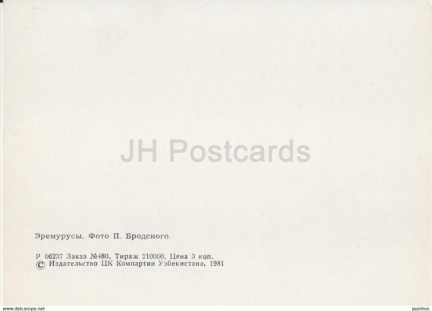 Eremurus - plantes - Sentiers naturels - 1981 - Ouzbékistan URSS - inutilisé