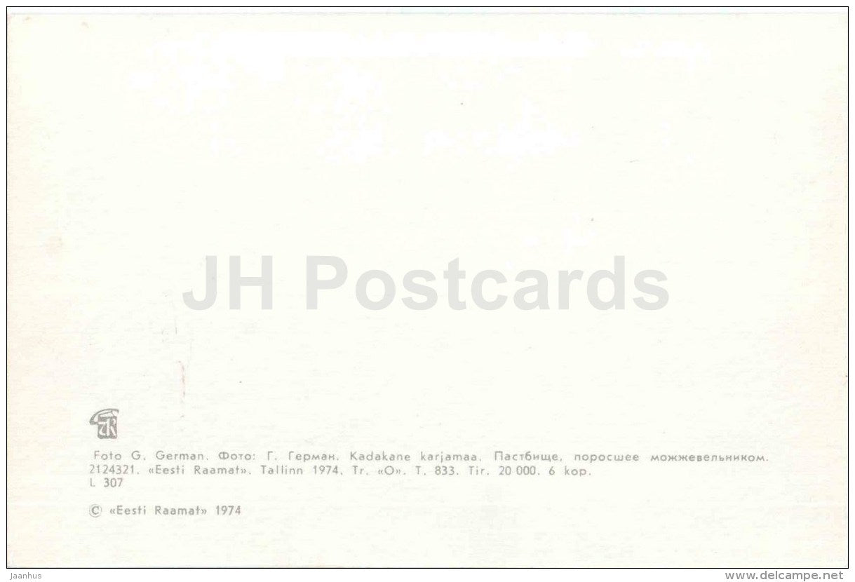 pastures with junipers - Saaremaa island - 1974 - Estonia USSR - unused - JH Postcards