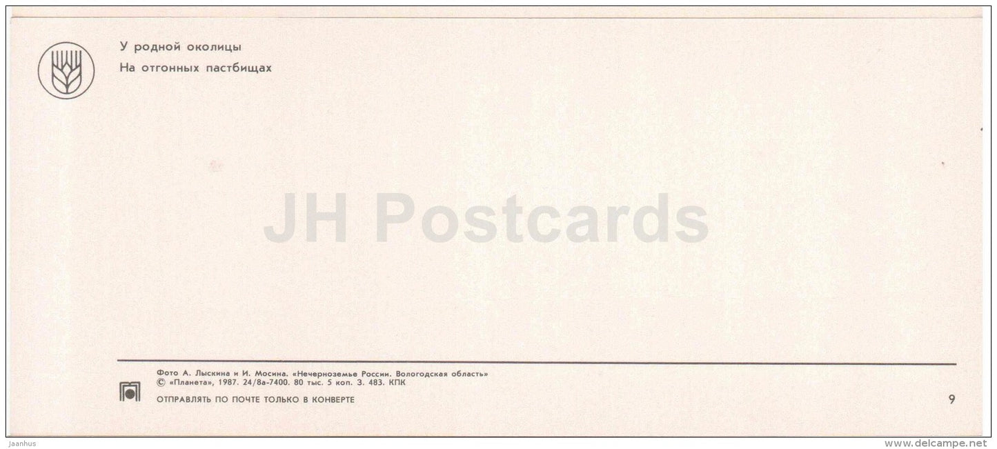 child and pig - cows - Vologda Region - 1987 - Russia USSR - unused - JH Postcards