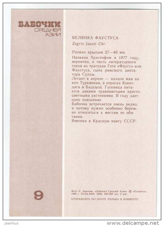 Zegris fausti - butterfly - Central Asia butterflies - 1989 - Russia USSR - unused - JH Postcards