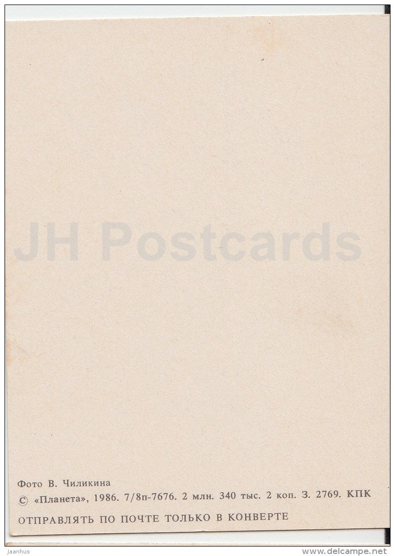 mini Birthday greeting card - flowers composition - roses in the vase - 1986 - Russia USSR - unused - JH Postcards