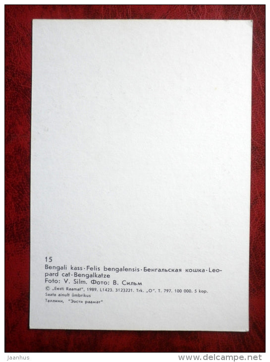 Leopard cat - Felis bengalensis - animals - Tallinn Zoo - 1989 - Estonia - USSR - unused - JH Postcards