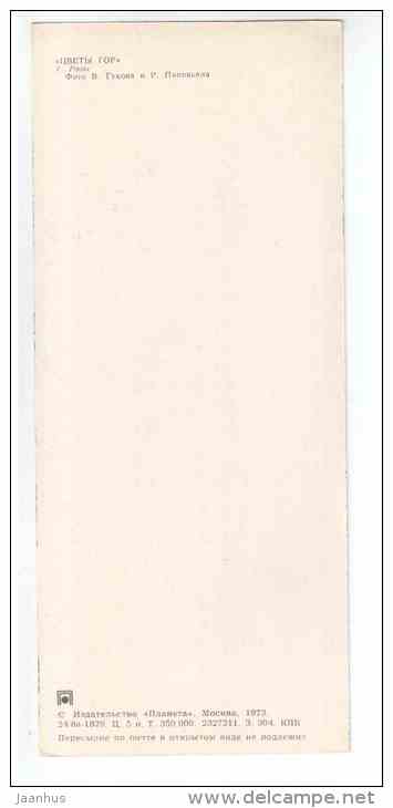 Roses - Mountain Flowers - 1973 - Russia USSR - unused - JH Postcards