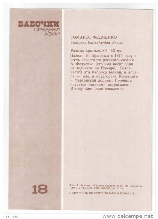Tomares fedtschenkoi - butterfly - Central Asia butterflies - 1989 - Russia USSR - unused - JH Postcards