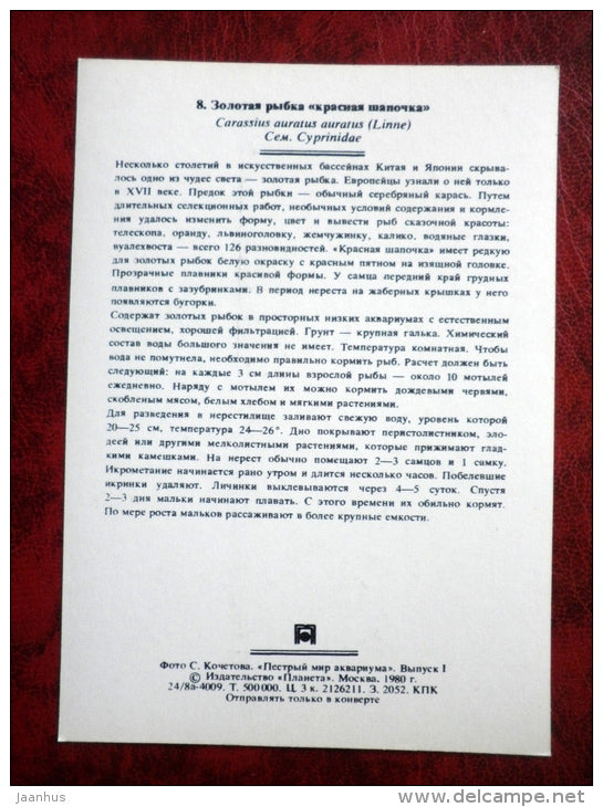 Goldfish - Carassius auratus auratus - aquarium fishes - 1980 - Russia USSR - unused - JH Postcards