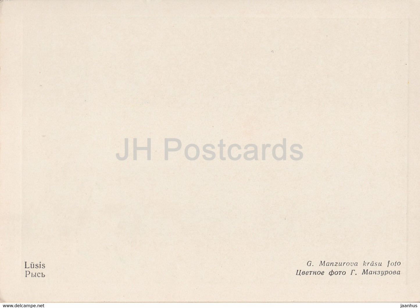 Riga Zoo - Lynx - Latvia USSR - unused