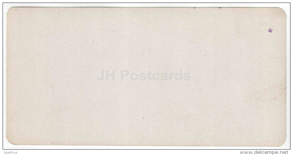 park - Tsanderovsky Institute - Yessentuki - Caucasus - Russia - Russie - stereo photo - stereoscopique - old photo - JH Postcards