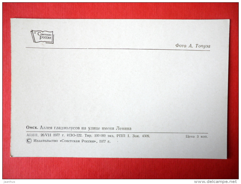 Alley gladioli on Lenin Street - Omsk - 1977 - USSR Russia - unused - JH Postcards