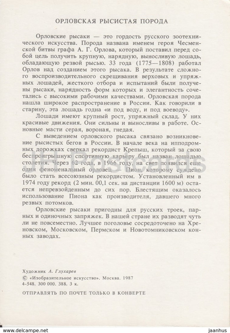 Orlov Trotter Horse - illustration by A. Glukharev - horses - animals - 1988 - Russia USSR - unused - JH Postcards