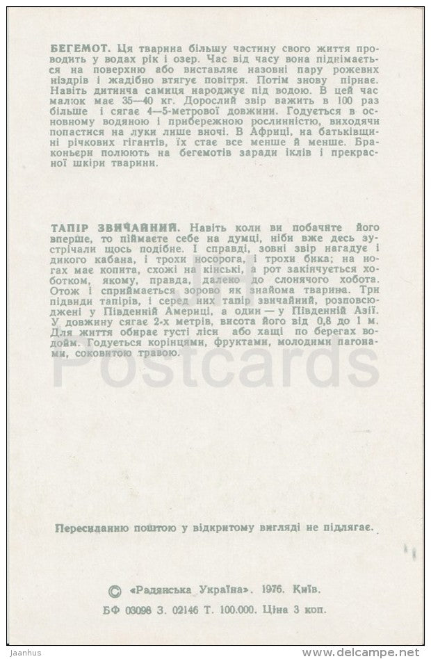 Hippo - Tapir - Kiev Kyiv Zoo - 1976 - Ukraine USSR - unused - JH Postcards